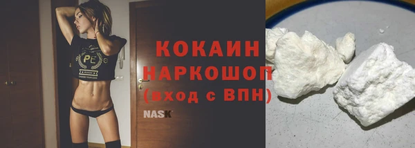 дживик Мегион